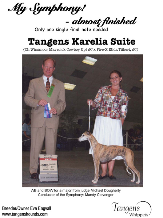Tangens Karelia Suite