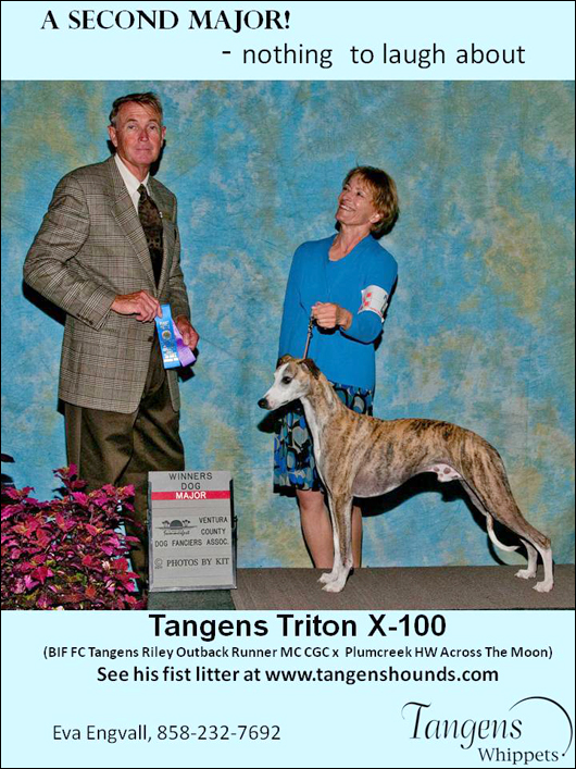Tangens Triton X-100