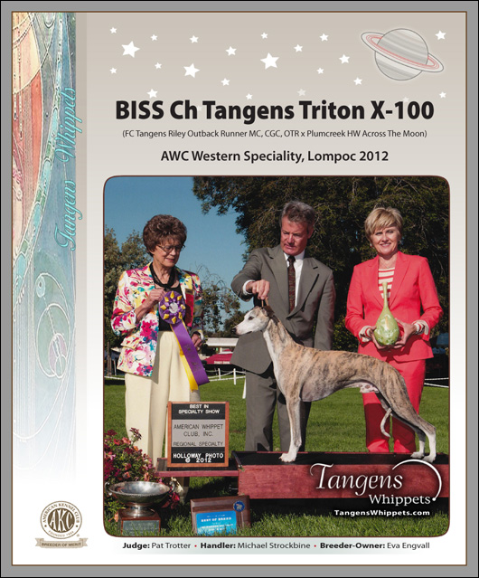 BISS Ch Tangens Triton X-100